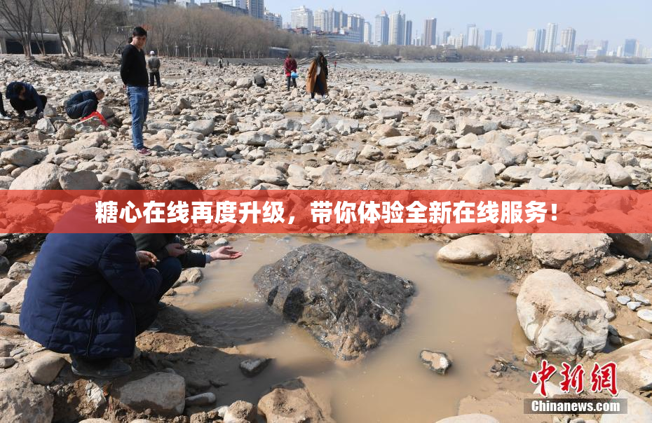 糖心在线再度升级，带你体验全新在线服务！