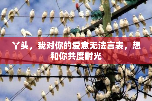 丫头，我对你的爱意无法言表，想和你共度时光