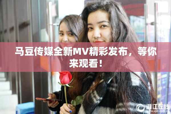 马豆传媒全新MV精彩发布，等你来观看！