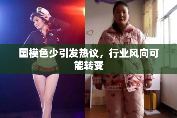国模色少引发热议，行业风向可能转变