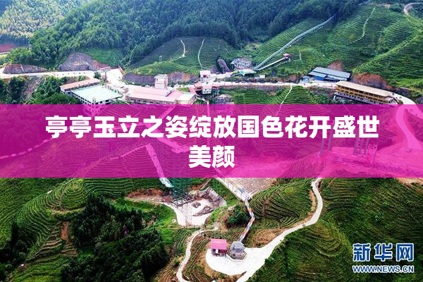亭亭玉立之姿绽放国色花开盛世美颜