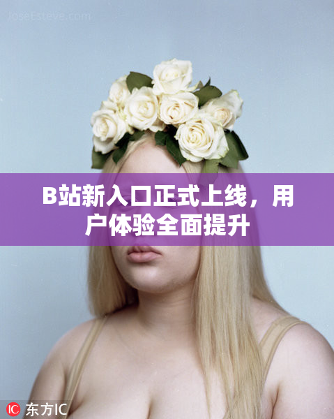 B站新入口正式上线，用户体验全面提升