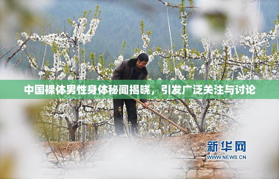 中国裸体男性身体秘闻揭晓，引发广泛关注与讨论