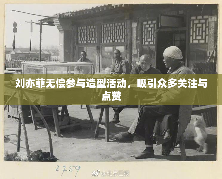 刘亦菲无偿参与造型活动，吸引众多关注与点赞