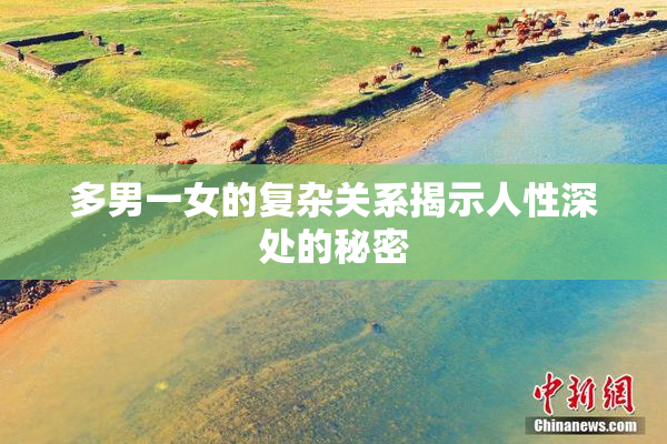 多男一女的复杂关系揭示人性深处的秘密