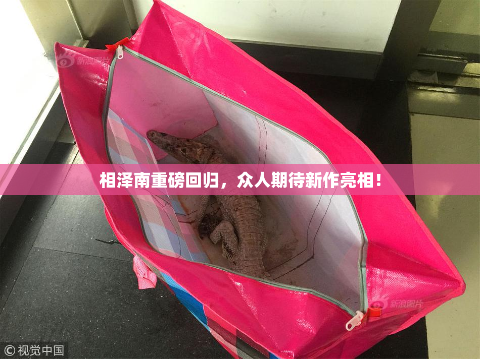 相泽南重磅回归，众人期待新作亮相！