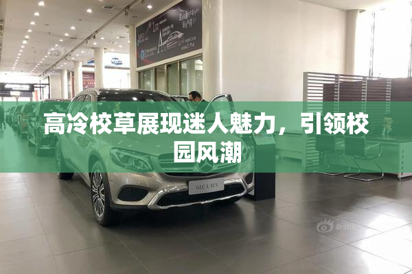 高冷校草展现迷人魅力，引领校园风潮