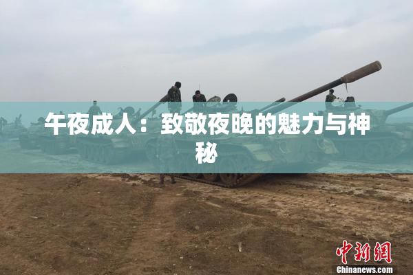 午夜成人：致敬夜晚的魅力与神秘