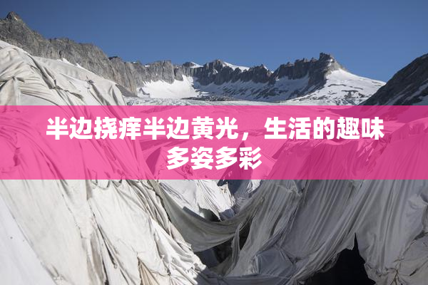半边挠痒半边黄光，生活的趣味多姿多彩