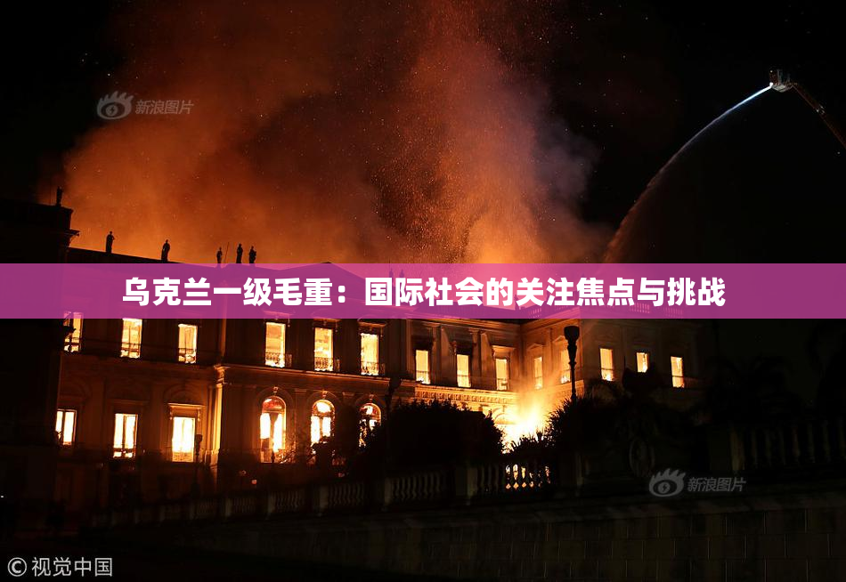 乌克兰一级毛重：国际社会的关注焦点与挑战