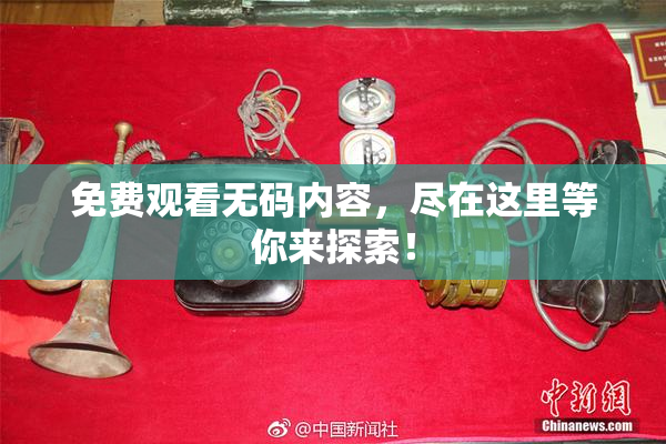 免费观看无码内容，尽在这里等你来探索！
