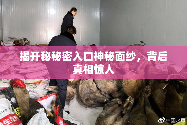揭开秘秘密入口神秘面纱，背后真相惊人