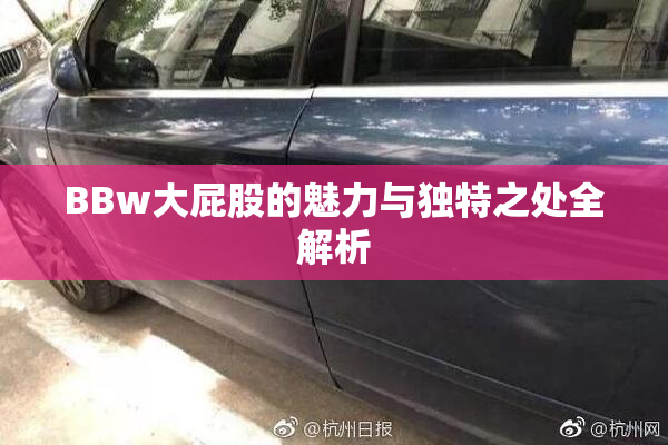 BBw大屁股的魅力与独特之处全解析