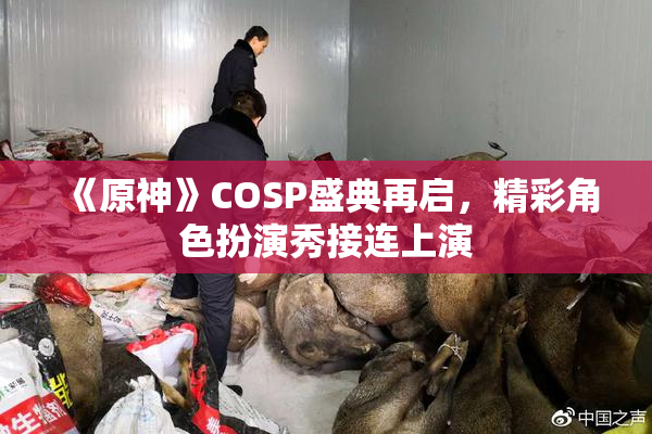 《原神》COSP盛典再启，精彩角色扮演秀接连上演