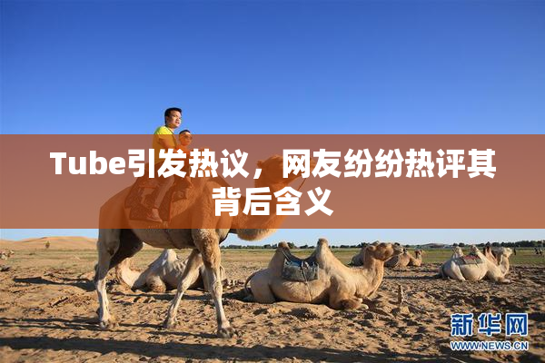 Tube引发热议，网友纷纷热评其背后含义