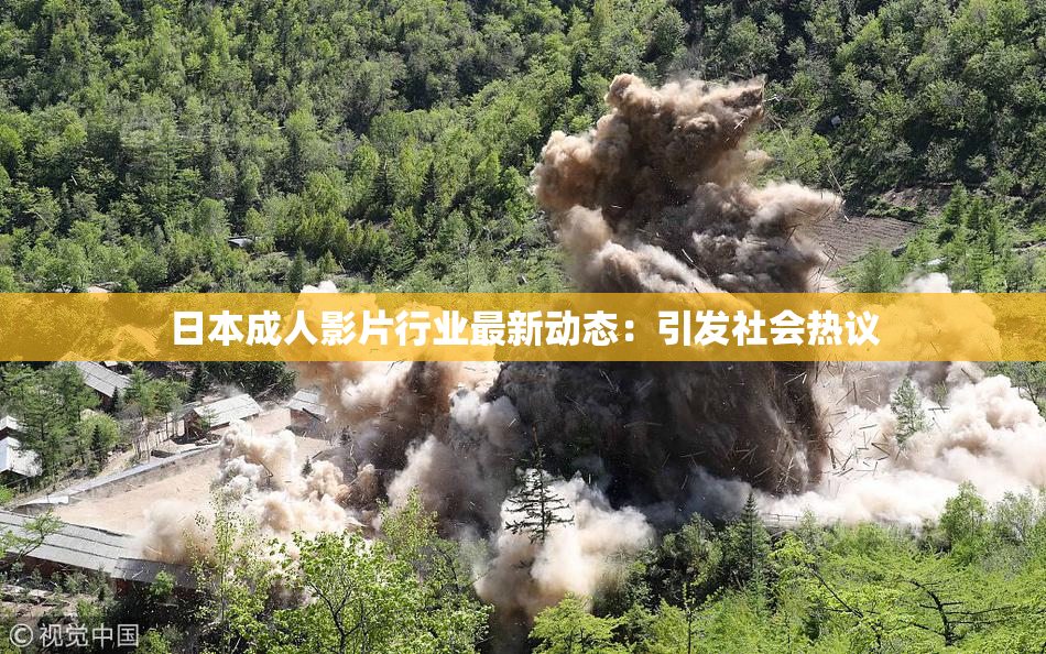 日本成人影片行业最新动态：引发社会热议