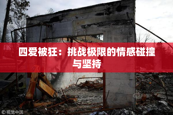四爱被狂：挑战极限的情感碰撞与坚持