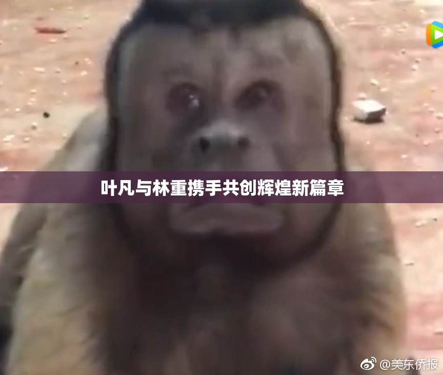 叶凡与林重携手共创辉煌新篇章