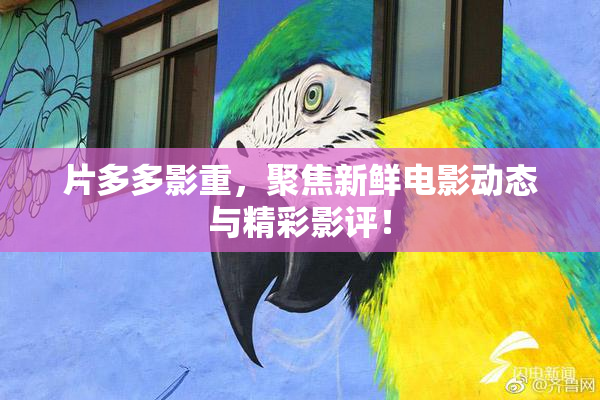 片多多影重，聚焦新鲜电影动态与精彩影评！