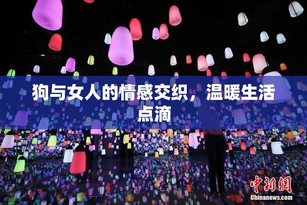 狗与女人的情感交织，温暖生活点滴