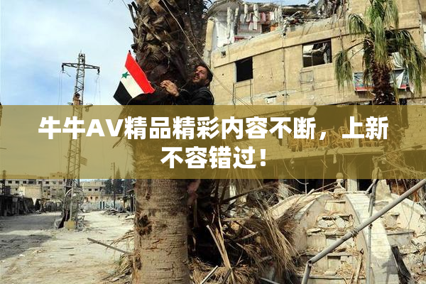 牛牛AV精品精彩内容不断，上新不容错过！