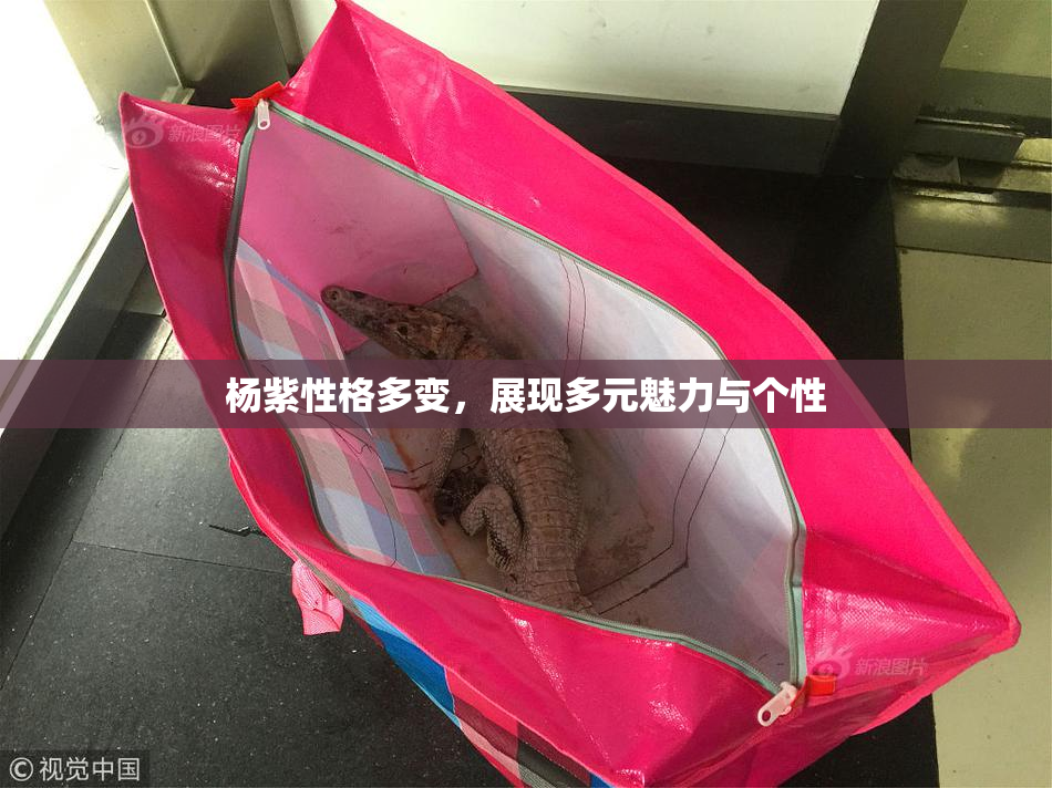 杨紫性格多变，展现多元魅力与个性