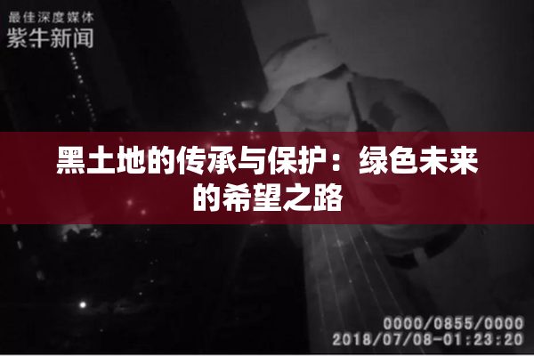 黑土地的传承与保护：绿色未来的希望之路