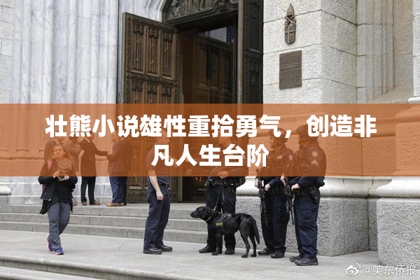 壮熊小说雄性重拾勇气，创造非凡人生台阶