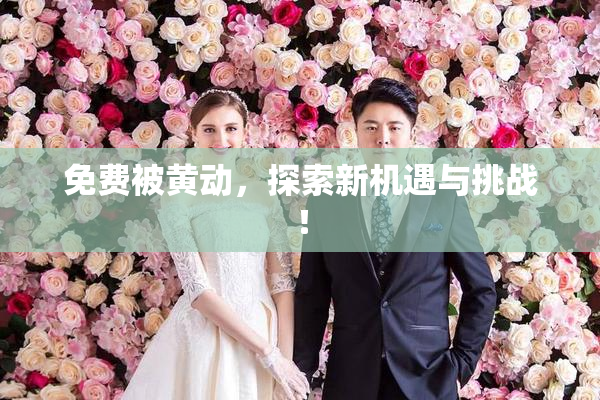 免费被黄动，探索新机遇与挑战！