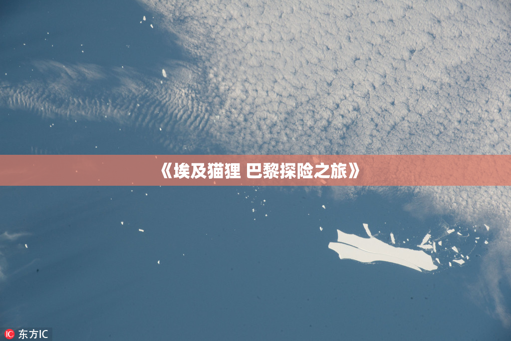 《埃及猫狸 巴黎探险之旅》