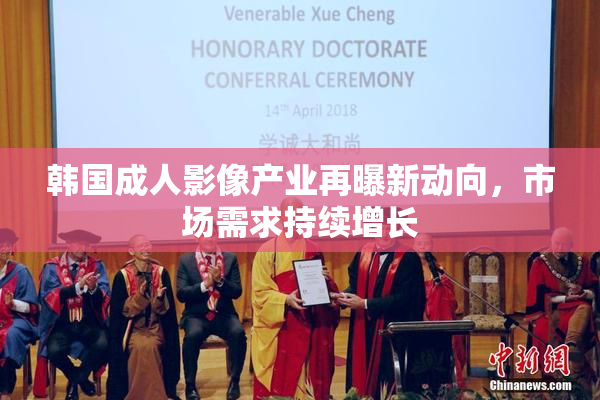 韩国成人影像产业再曝新动向，市场需求持续增长