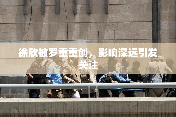 徐欣被罗重重创，影响深远引发关注