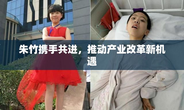 朱竹携手共进，推动产业改革新机遇