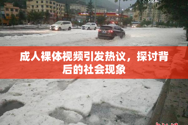 成人裸体视频引发热议，探讨背后的社会现象