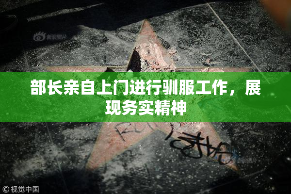 部长亲自上门进行驯服工作，展现务实精神