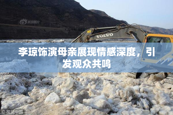 李琼饰演母亲展现情感深度，引发观众共鸣