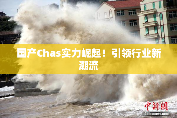 国产Chas实力崛起！引领行业新潮流