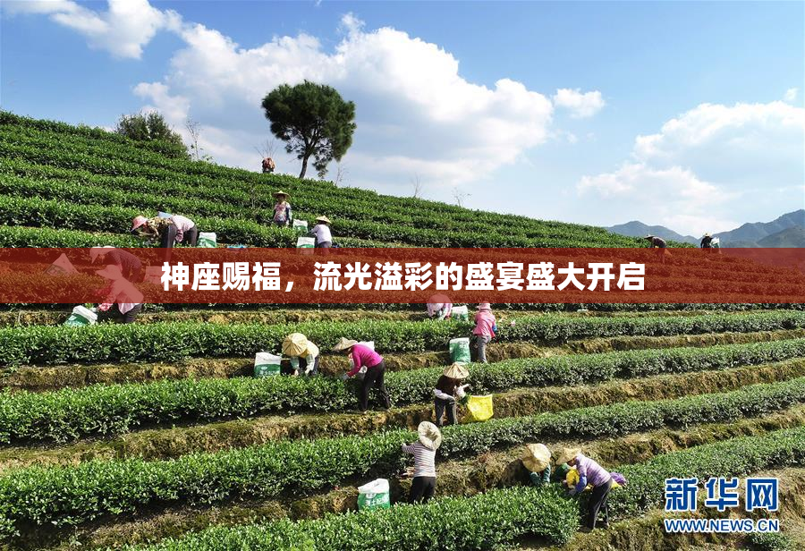 神座赐福，流光溢彩的盛宴盛大开启