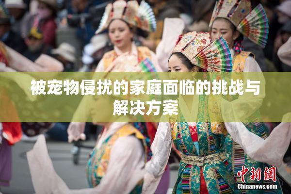 被宠物侵扰的家庭面临的挑战与解决方案