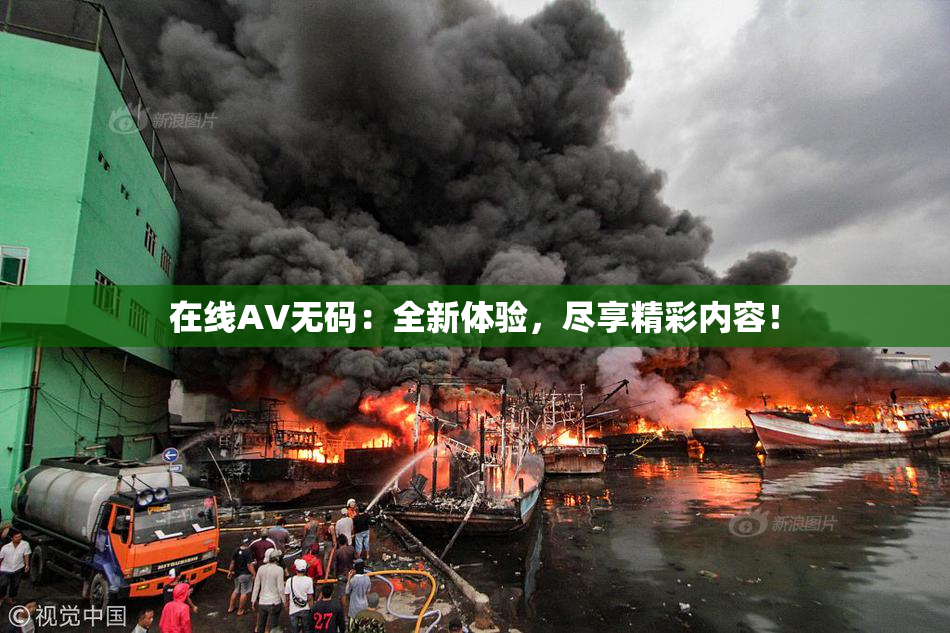 在线AV无码：全新体验，尽享精彩内容！