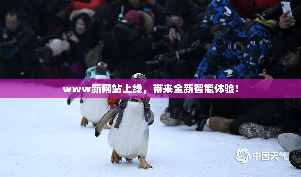 www新网站上线，带来全新智能体验！