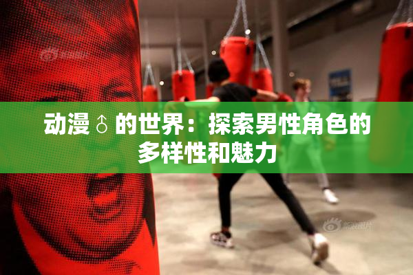 动漫♂的世界：探索男性角色的多样性和魅力