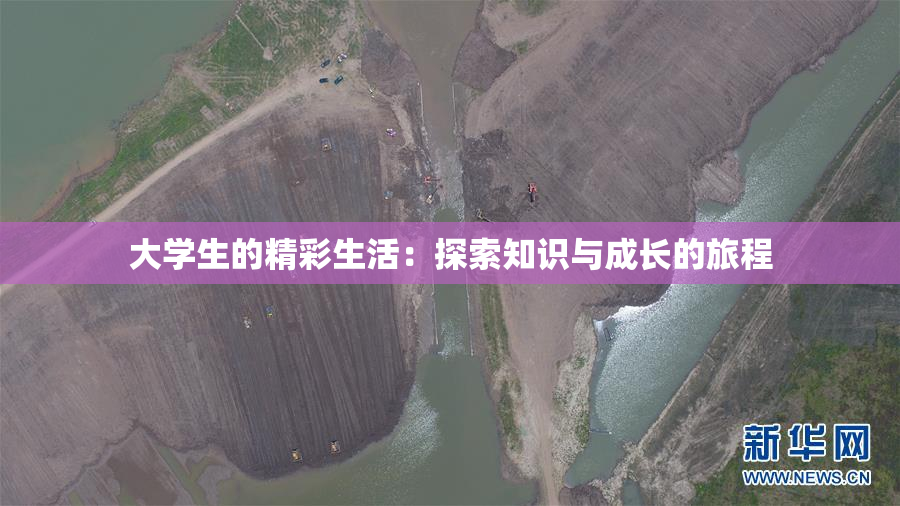 大学生的精彩生活：探索知识与成长的旅程