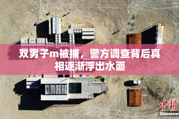 双男子m被捕，警方调查背后真相逐渐浮出水面