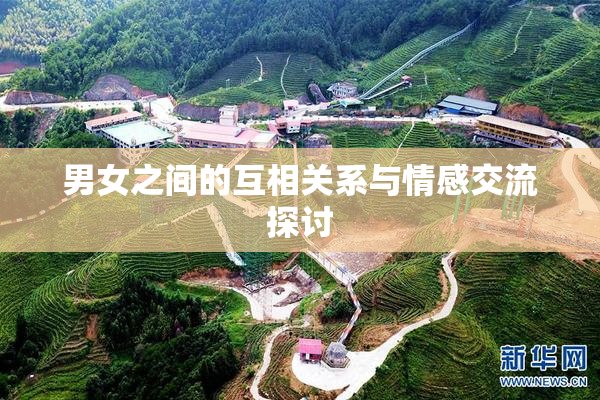 男女之间的互相关系与情感交流探讨