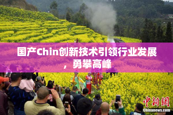 国产Chin创新技术引领行业发展，勇攀高峰