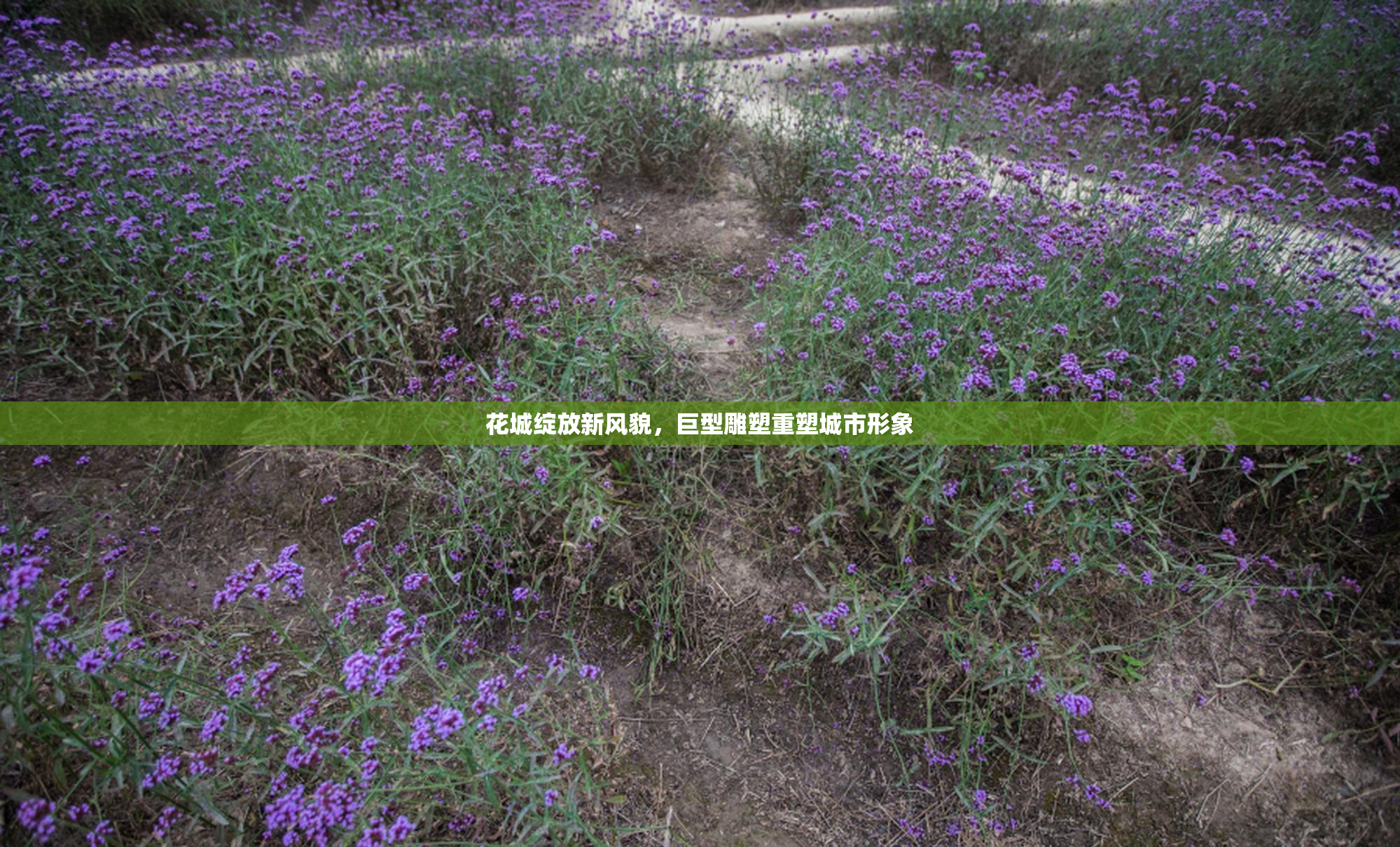 花城绽放新风貌，巨型雕塑重塑城市形象