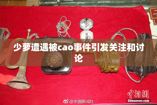 少萝遭遇被cao事件引发关注和讨论