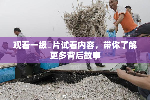 观看一级婬片试看内容，带你了解更多背后故事