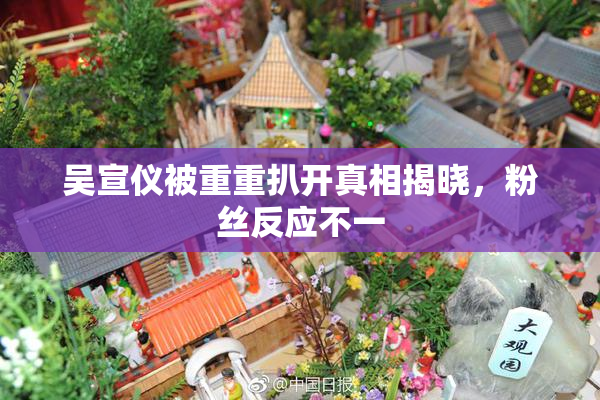 吴宣仪被重重扒开真相揭晓，粉丝反应不一